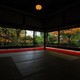 Illustration for article titled Bad Tourists Lead to Photography Ban at Japanese Temples